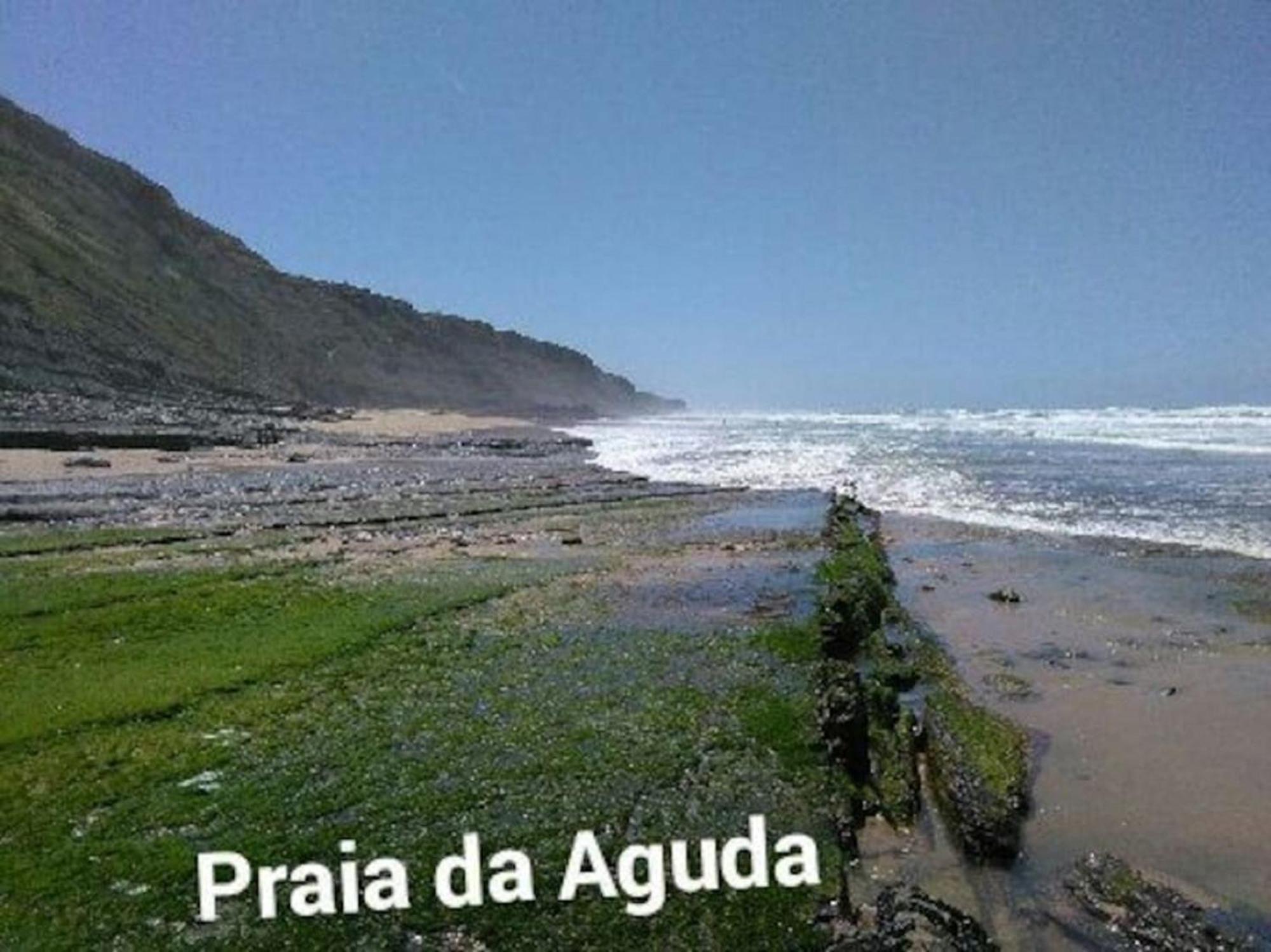 فيلا Casa Sol E Mar كولاريس المظهر الخارجي الصورة